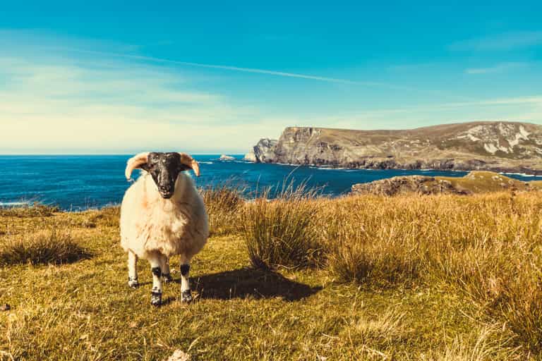 The Wild Atlantic Way has been named the most Instagrammed road trip in Europe