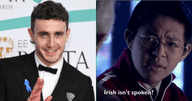 irish language