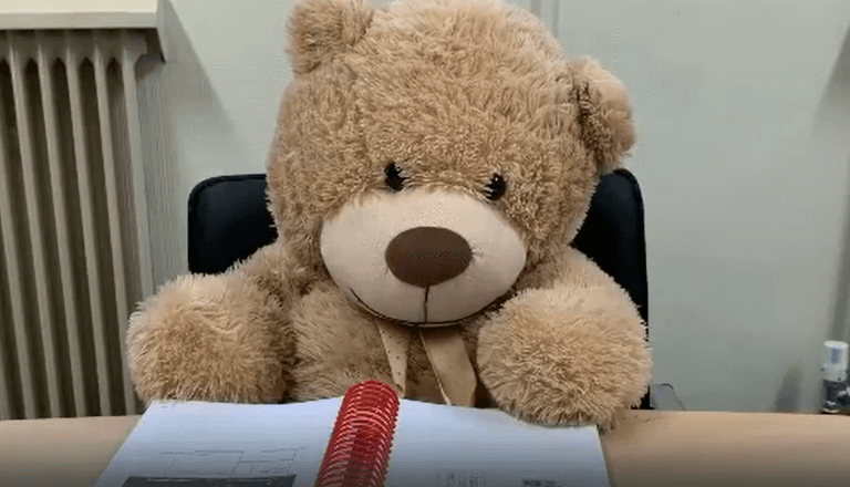 Bus Éireann take on Ted the bear as a staff member while they look for his owner Bus Éireann take on Ted the bear as a staff member while they look for his owner