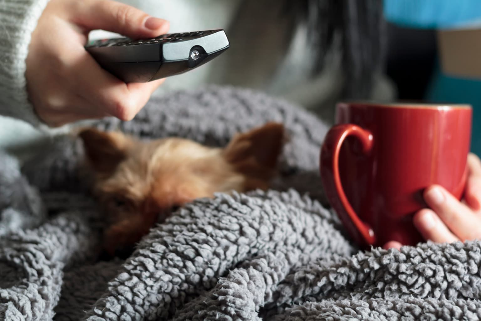 Getting through the lockdown – Here’s what the Lovin team are doing to pass the time