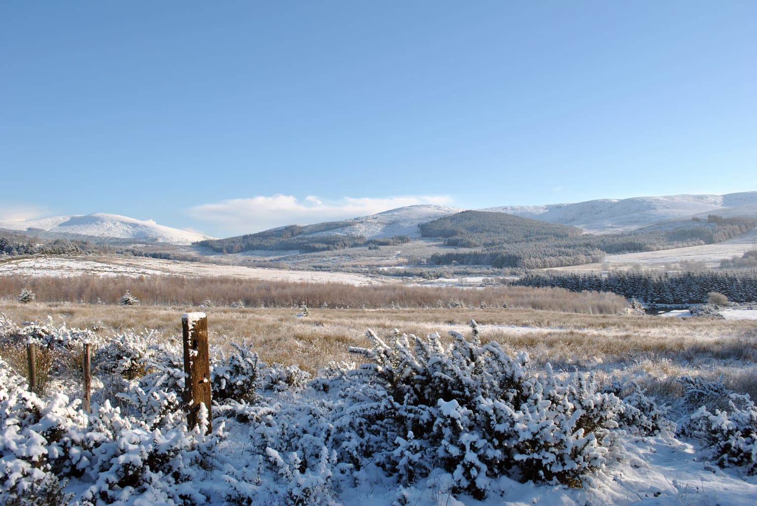 The early Christmas Day weather forecast is here and it looks like a frosty one