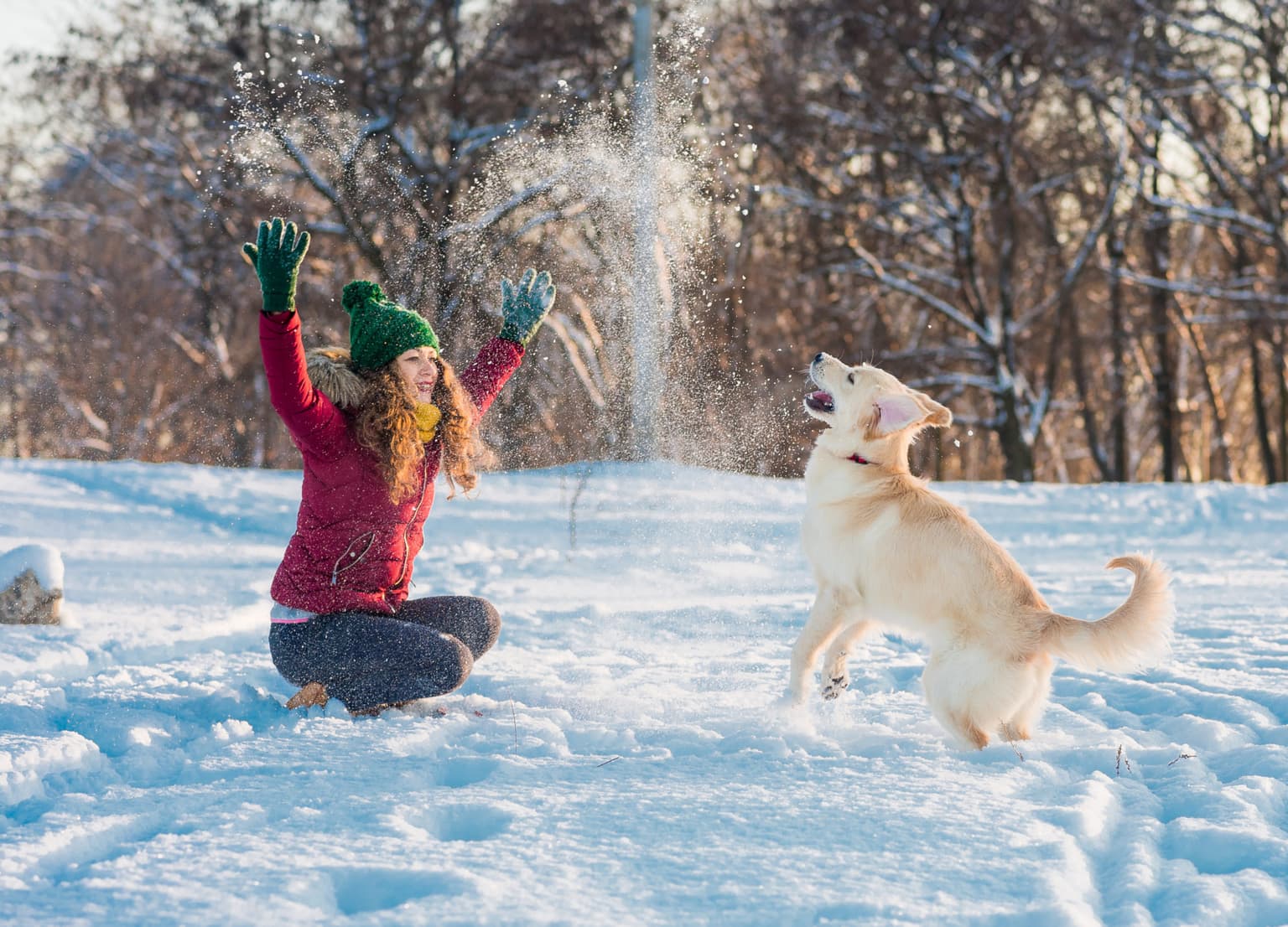 Wrap up! Cold weather to continue with ‘sharp to severe frosts’ and a ‘dusting of snow’ on the way 