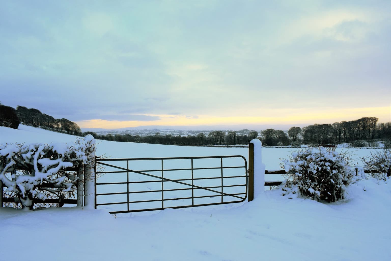 Ireland could be in for a White Christmas this year