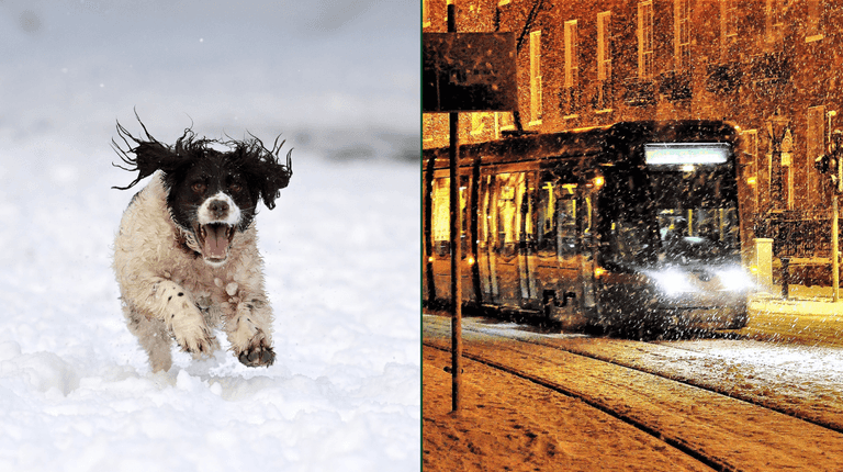 Met Éireann predicts likelihood of having a White Christmas in Ireland this year Met Éireann predicts likelihood of having a White Christmas in Ireland this year