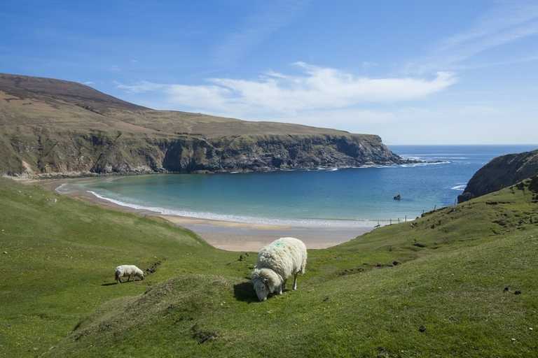This Coastal Walking Trail Is The Perfect Spot To Experience The Wild Atlantic Way This Coastal Walking Trail Is The Perfect Spot To Experience The Wild Atlantic Way