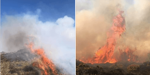 Grisly images show large gorse fire in Donegal as Fire Brigade issues red fire warning