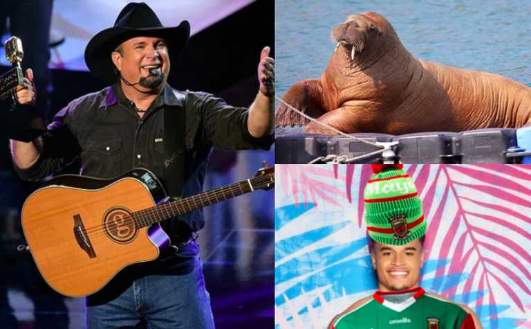 A look a 2021’s most meme-able moments, from Garth’s return to Croke Park to Wally’s stay in Cork A look a 2021’s most meme-able moments, from Garth’s return to Croke Park to Wally’s stay in Cork