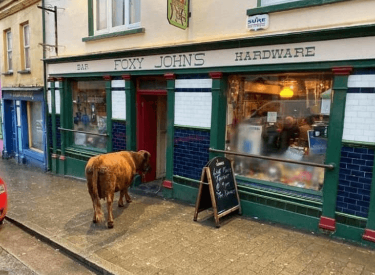 The top 6 pubs in Dingle, as voted for by you The top 6 pubs in Dingle, as voted for by you