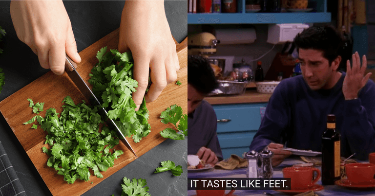 Today is International ‘I Hate Coriander Day’ for all who celebrate Today is International ‘I Hate Coriander Day’ for all who celebrate