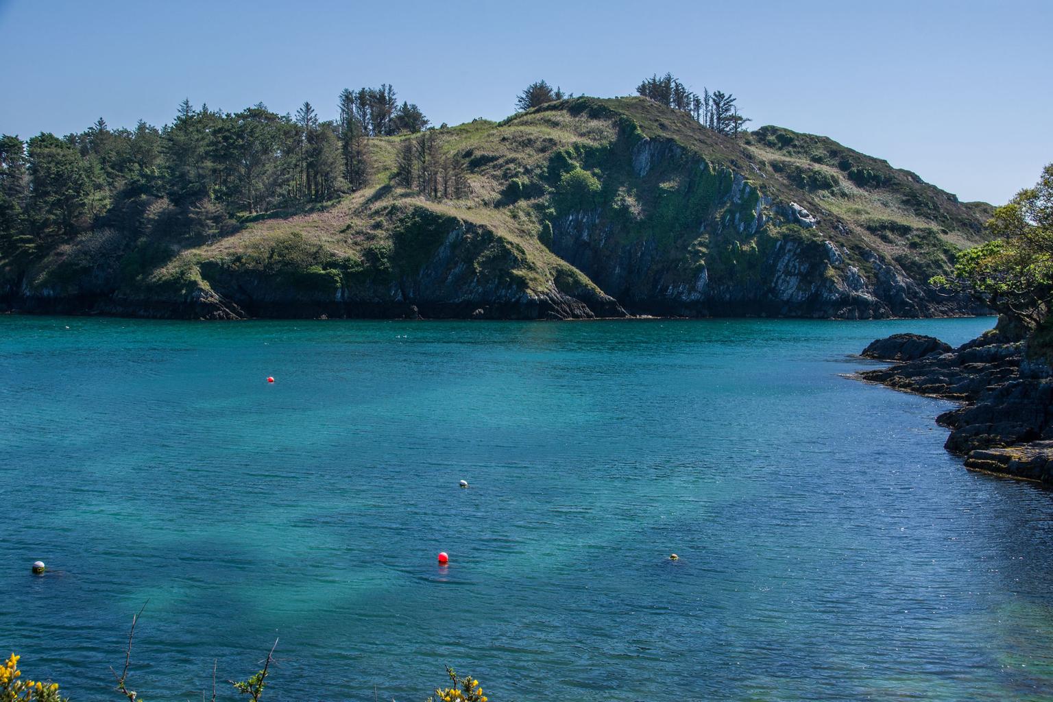Fáilte list Cork’s Lough Hyne as one of Ireland’s best swimming spots, despite scientists’ warning