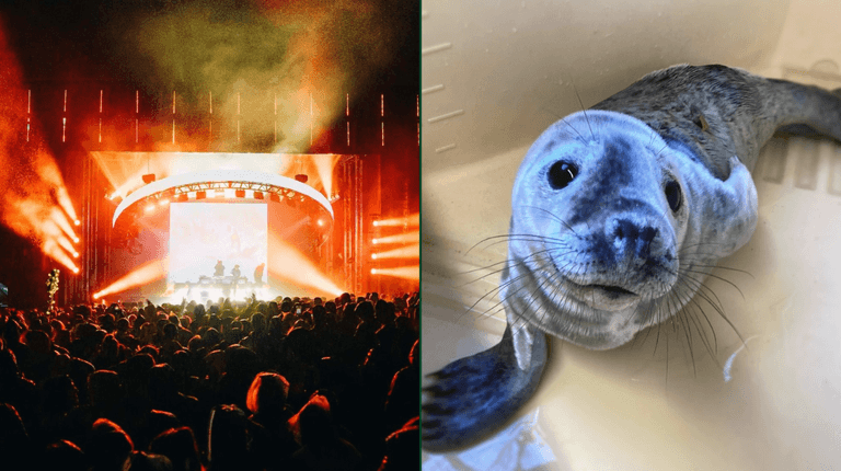 8 last minute gifts for when you don’t want to go traipsing around the shops 8 last minute gifts for when you don’t want to go traipsing around the shops