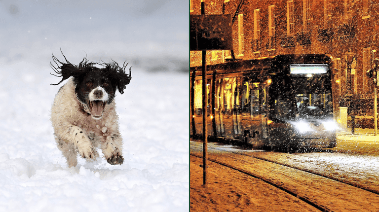 Met Éireann predicts likelihood of having a White Christmas in Ireland this year Met Éireann predicts likelihood of having a White Christmas in Ireland this year
