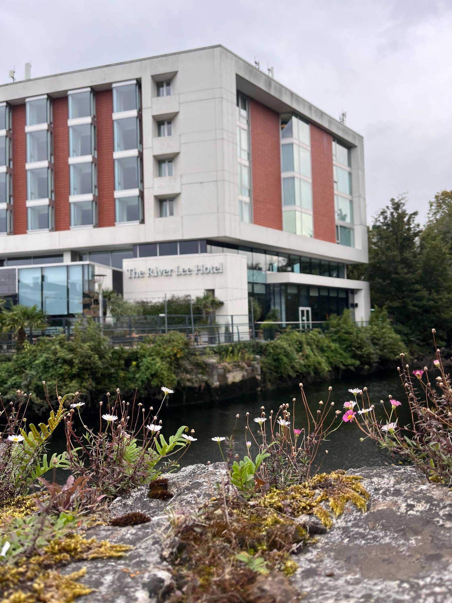 The River Lee, Cork