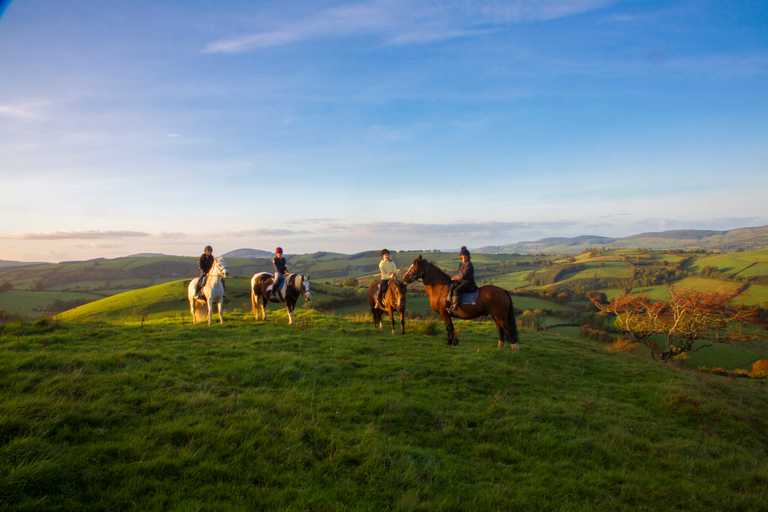 Hikes, bikes and bites – 6 ways to enjoy your next short break in Ireland’s Ancient East Hikes, bikes and bites – 6 ways to enjoy your next short break in Ireland’s Ancient East