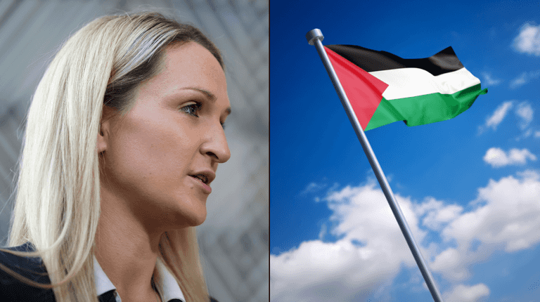 Ireland announces €42m Palestine aid package as McEntee visits Rafah Ireland announces €42m Palestine aid package as McEntee visits Rafah
