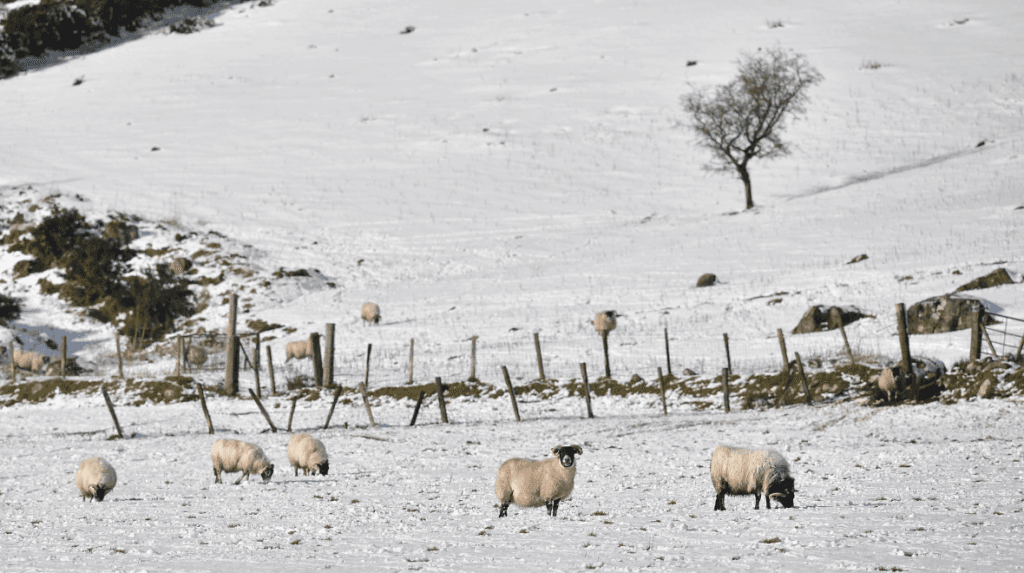 Weather experts warn that snow could be on its way