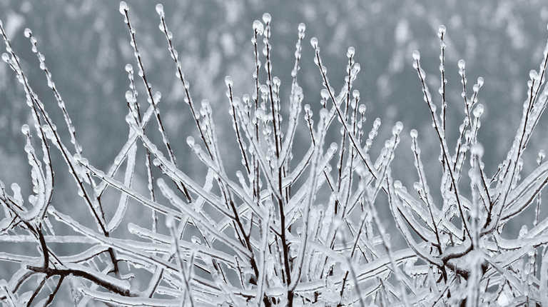 Met Éireann warns of possible snow as heating bills continue to rise Met Éireann warns of possible snow as heating bills continue to rise