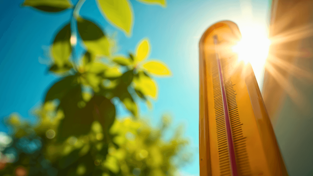Temperatures in Ireland to soar this week as orange fire warning issued