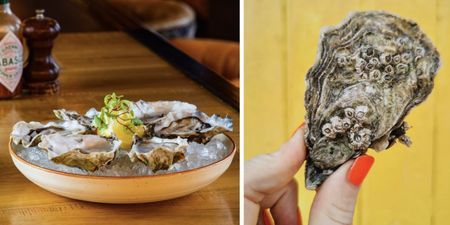 13 of the best places to eat oysters in Ireland