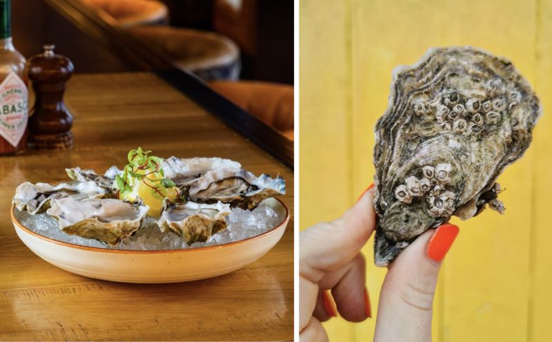 best oysters ireland