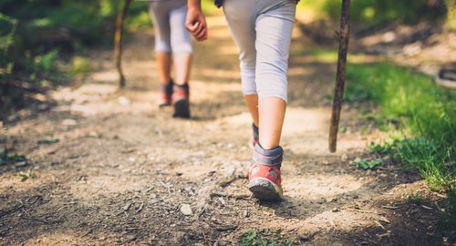 Hiiker helps you plan your hike