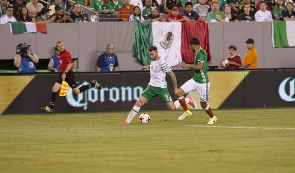 Daryl Murphy