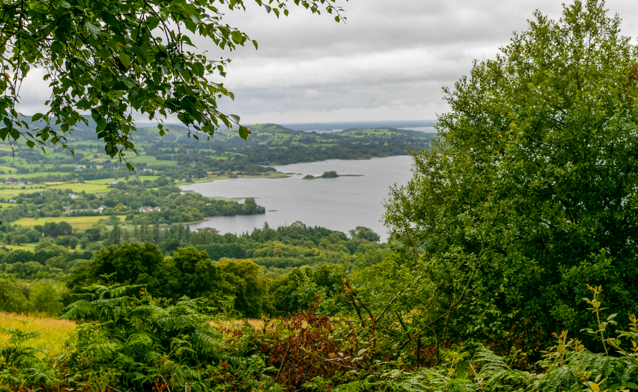 Make a break for it to Lough Derg – the best experiences in this stunning area