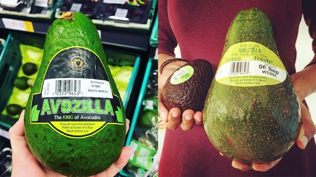avocado