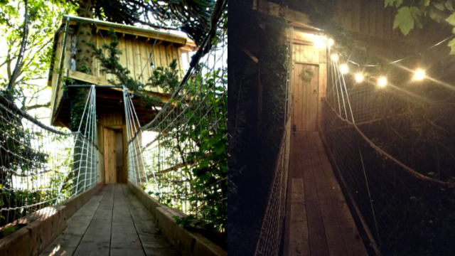 Luxury treehouse in Cork may be the most beautifully unique accommodation in the area
