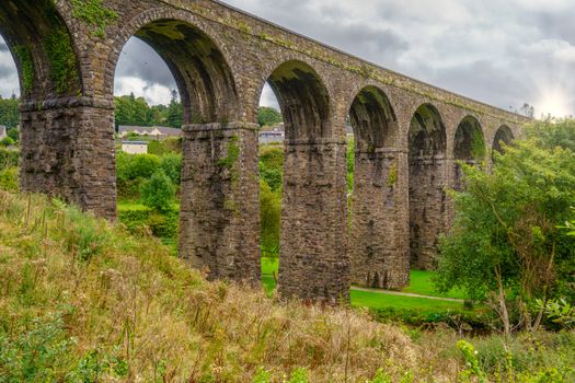 Why you should take on the stunning Waterford Greenway this summer