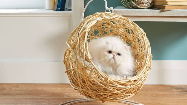 Aldi is selling hanging egg chairs for cats and they're so friggin' cute