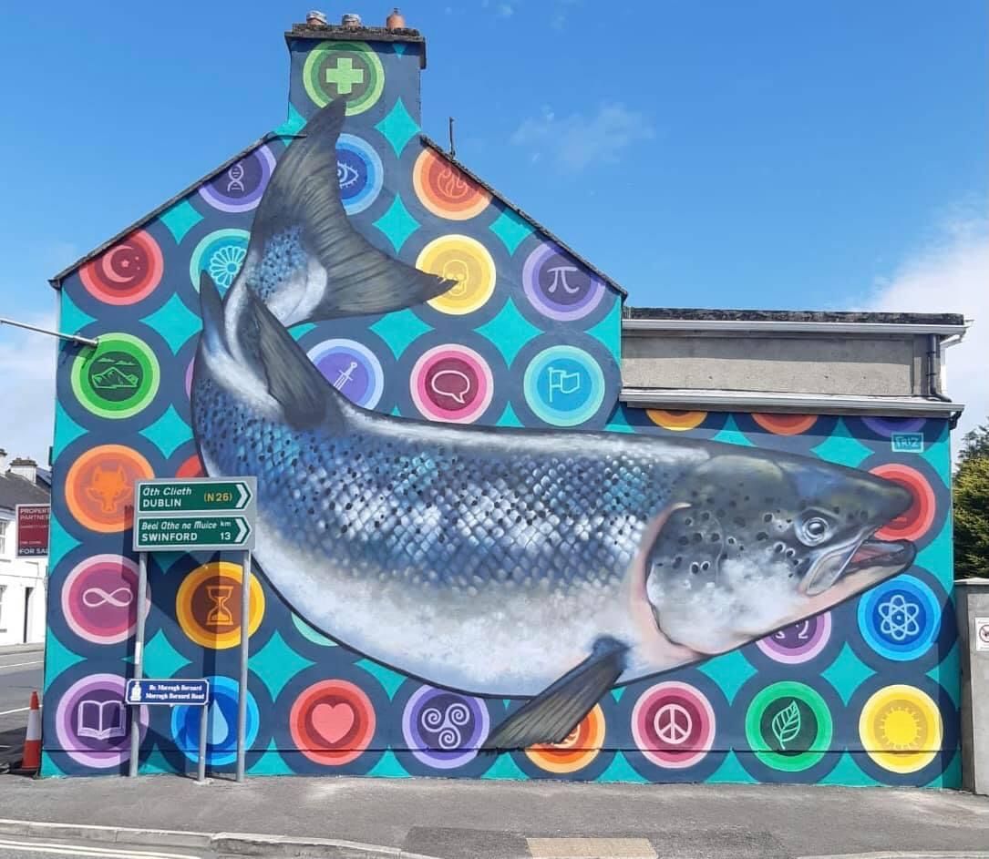 Foxford have unveiled these beautiful murals to bring a pop of colour into the town