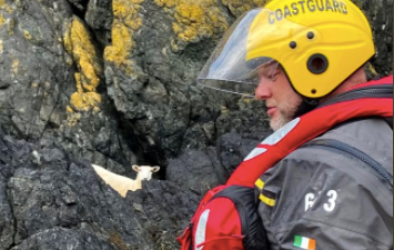 A good news story for your Monday – this sheep was safely rescued after falling from a cliff