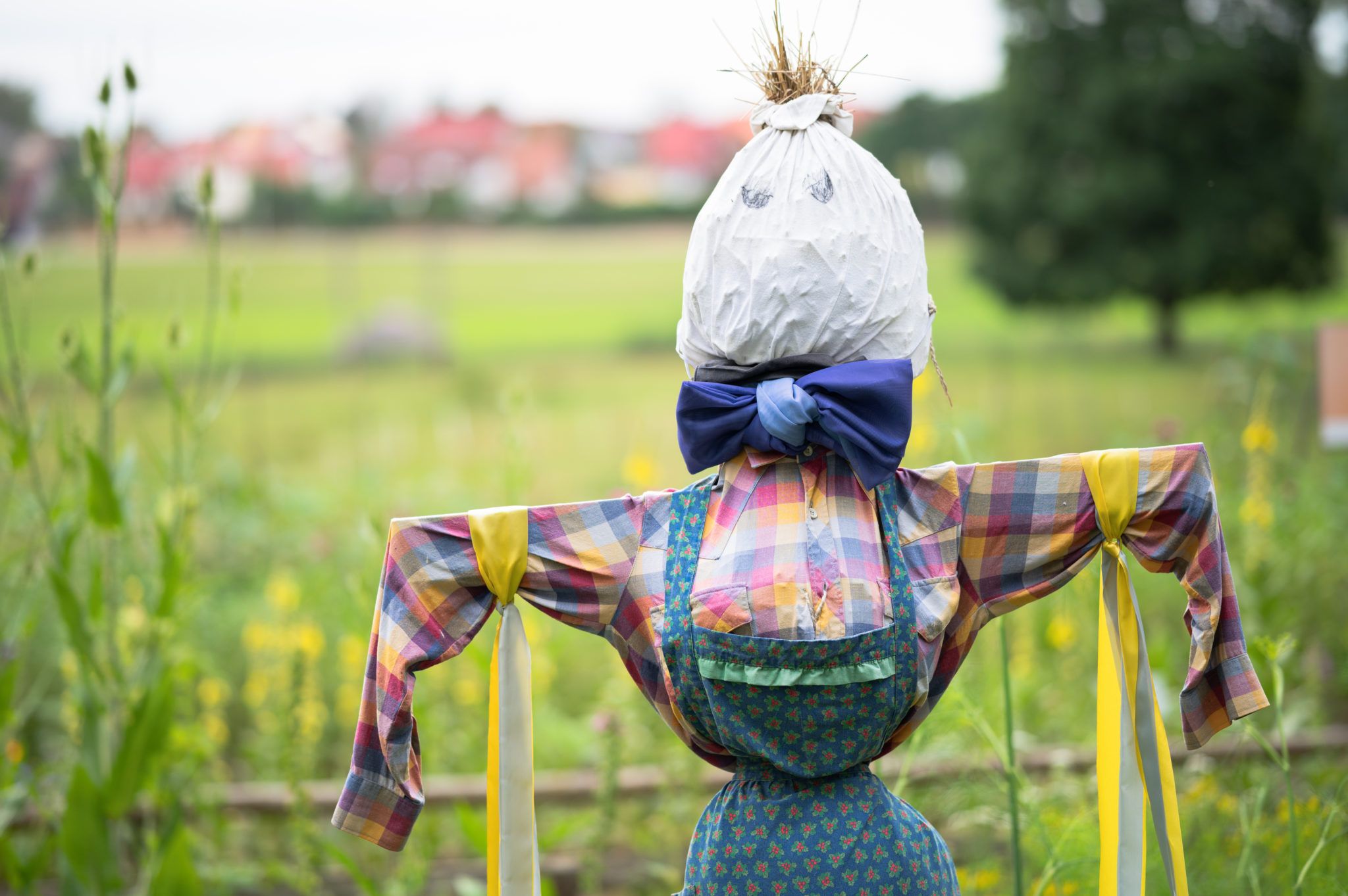 There’s a DIY scarecrow event happening at Killruddery Gardens