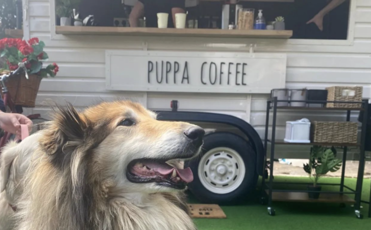 Have you been to this pup inspired café in Maynooth yet?