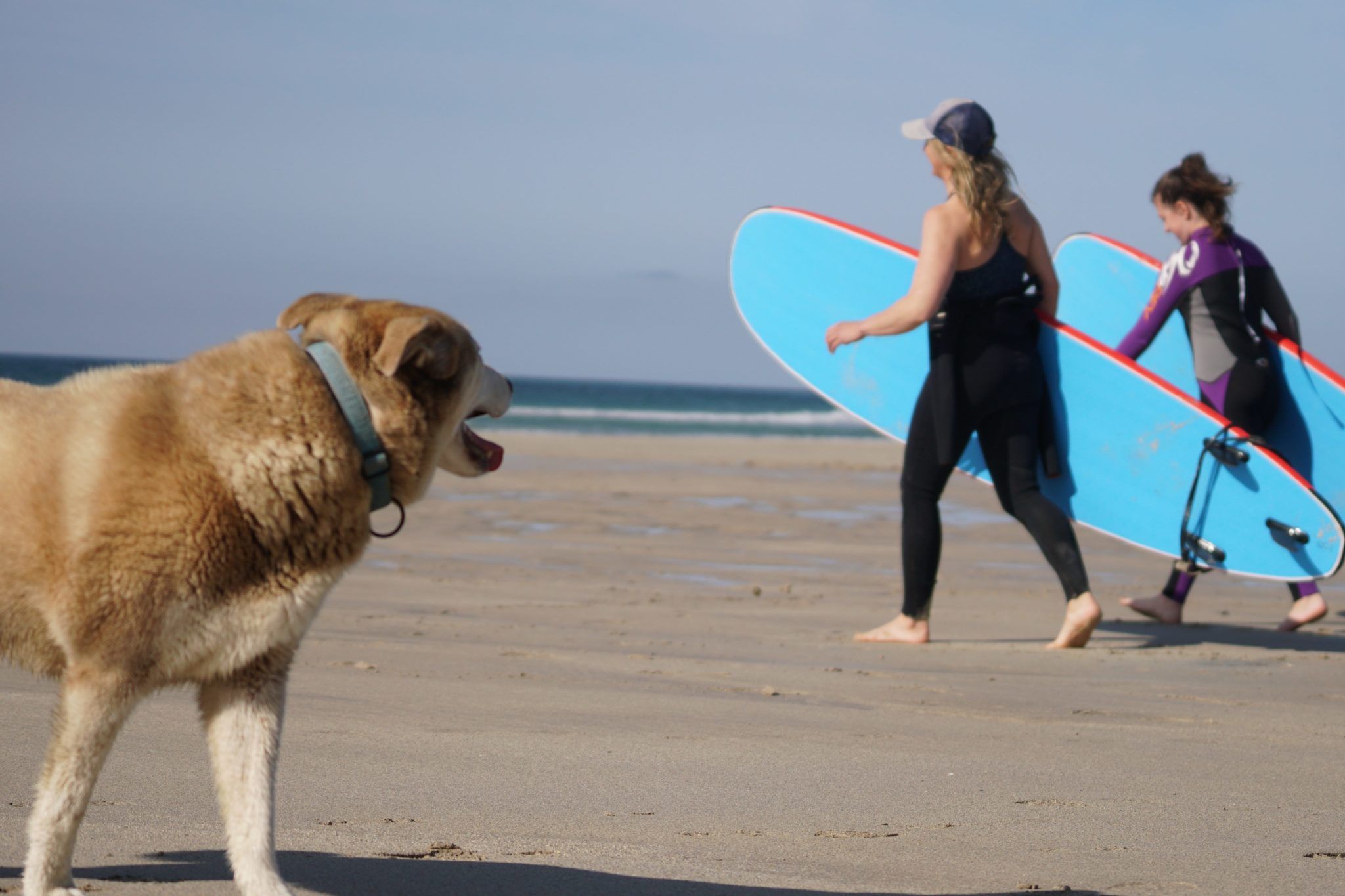 Mayo surf school to reopen with fluent Gaelic instructors