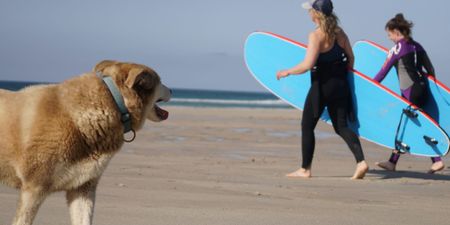 Mayo surf school to reopen with fluent Gaelic instructors