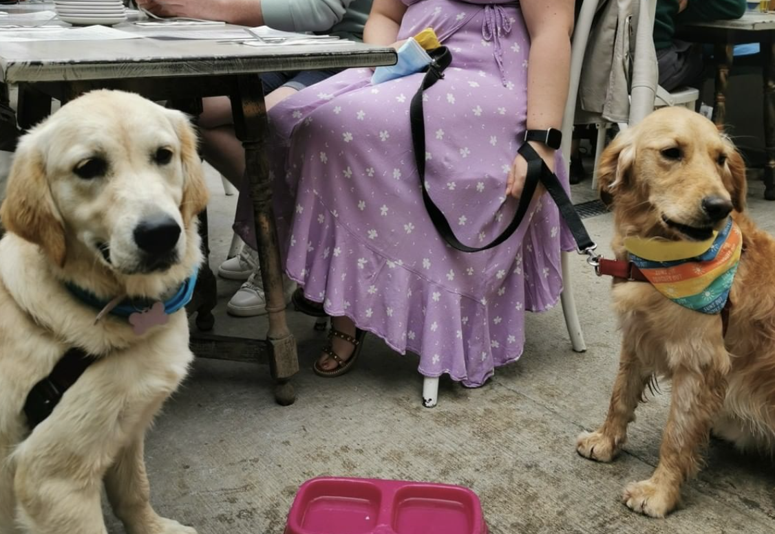 Waterford bar takes dog friendly to next level with dedicated dog menu