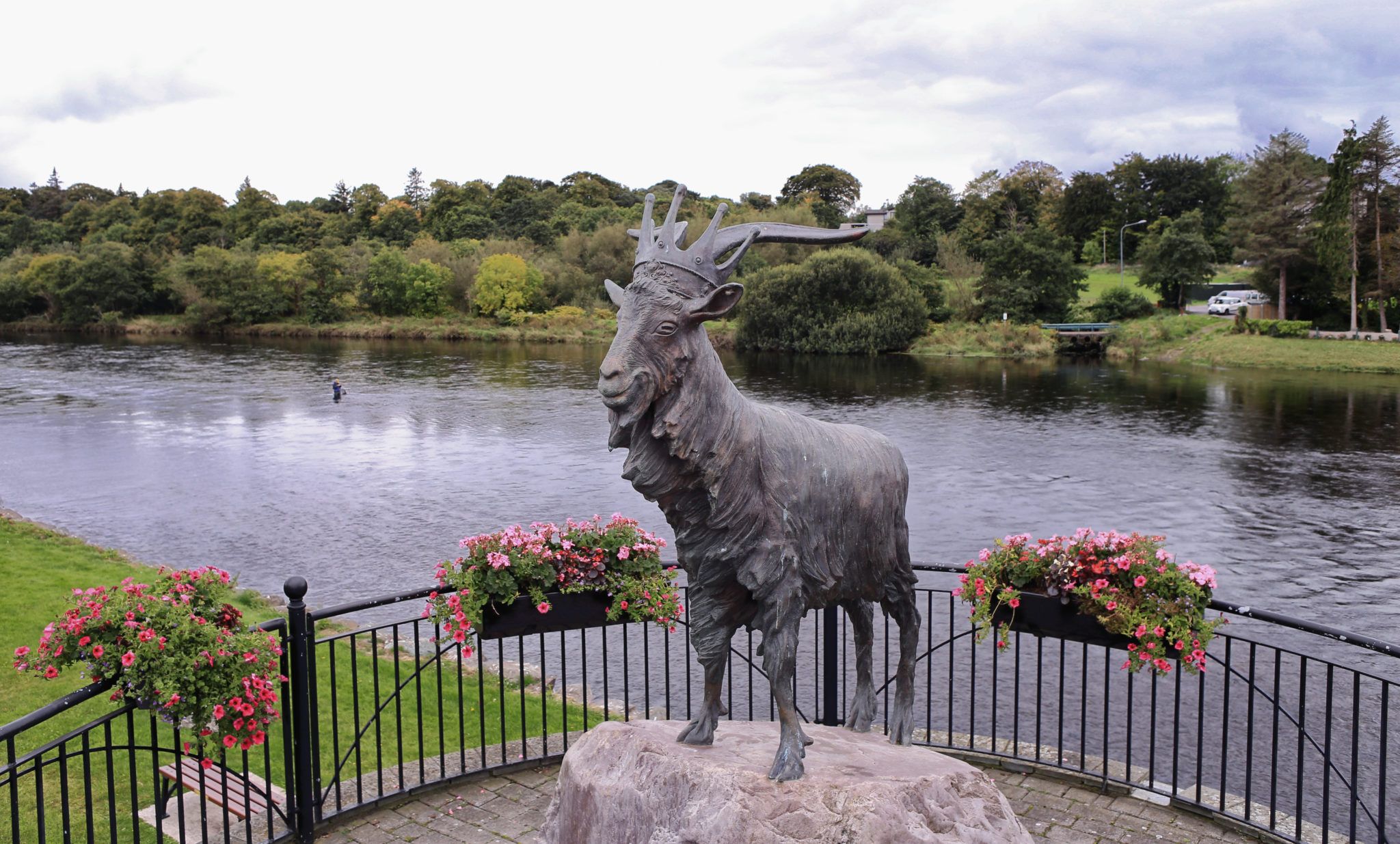 statue of a wild goat beside a river in Killorglin, Kerry