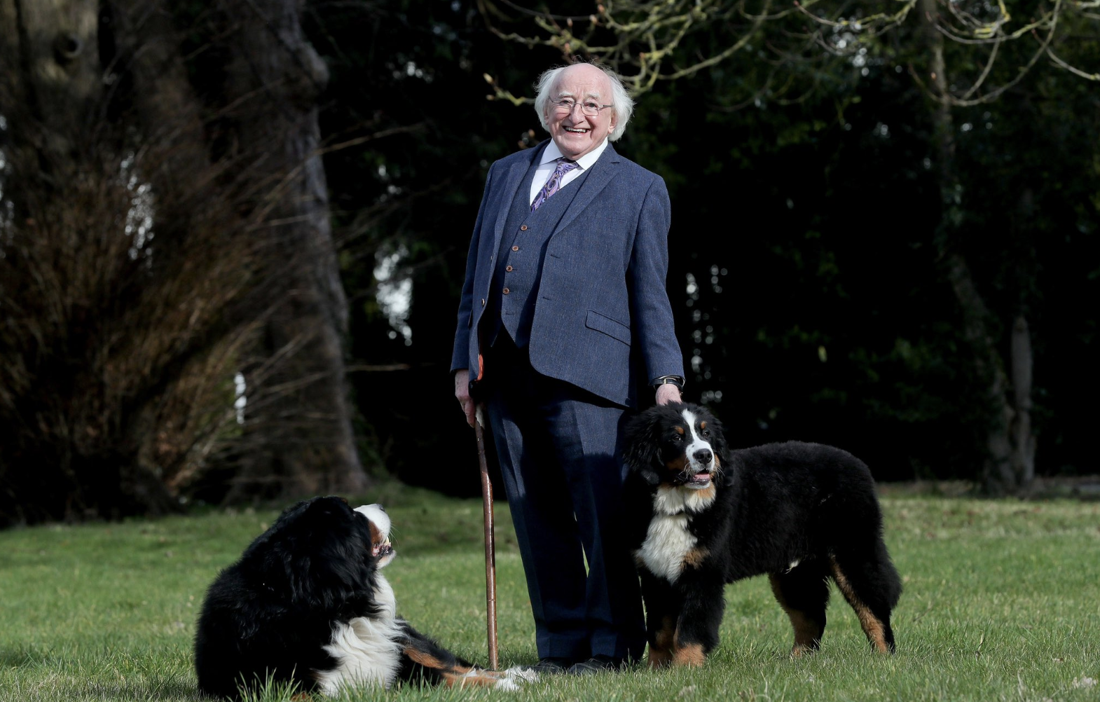 president Michael D Higgins with his dogs, Bród and Misneach