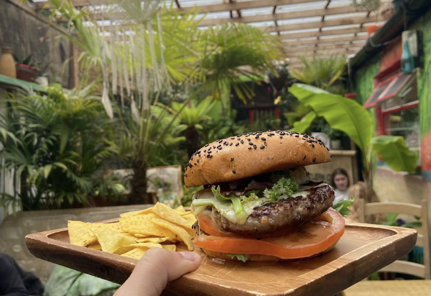 burger and chips on a wooden plate in jungle cafe