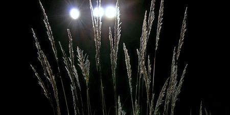 'Alien sightings' reported in Limerick over the weekend