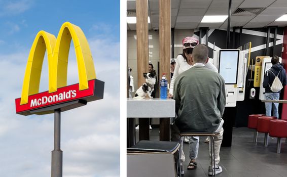 Dog in McDonald's