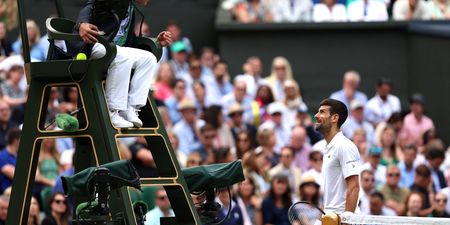 The umpire Novak Djokovic clashed with during Wimbledon final was Irish man Fergus Murphy