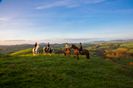 Hikes, bikes and bites - 6 ways to enjoy your next short break in Ireland's Ancient East