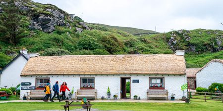 Seaweed baths, sheep dogs and shellfish tours – 10 enriching experiences along the Wild Atlantic Way